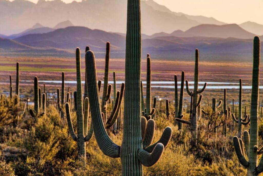 Tucson The Greens! 3Br Apt W/ Pool & Spa 외부 사진